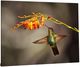 Classy Living Flutter Wall Art-3