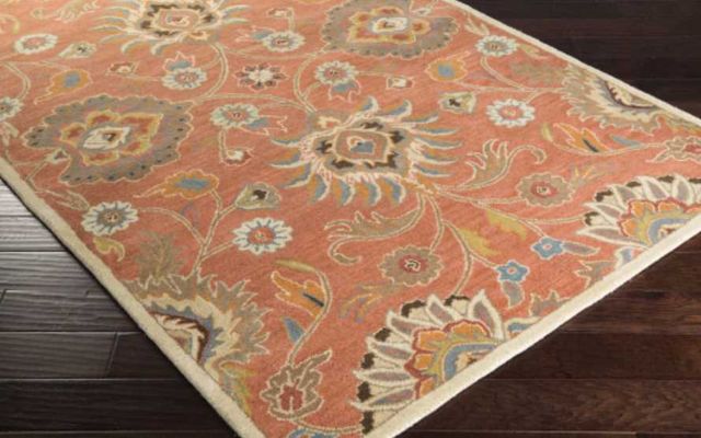 Surya Caesar Multi-Colored 8'x11' Area Rug-4