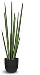 Le Present Sanseveria Green 37.5" Faux Botanical Cylindrica-0