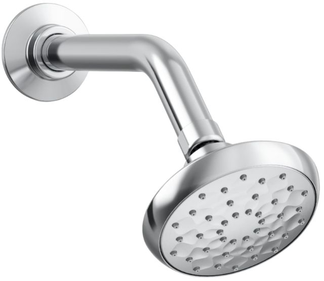 KOHLER® Awaken® B90 Polished Chrome 1.5 GPM Single-Function Handshower-0
