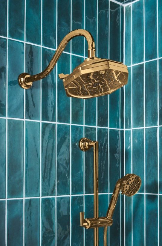 Brizo Beauclere® Brilliance® Polished Gold Multi-Function Slide-Bar Hand Shower-1