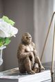 A & B Home Copper Gorilla-5