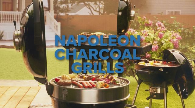 Napoleon 21" Black Portable Charcoal Grill-4