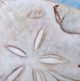 Stylecraft Seaside 4-Piece Blue/Light Blue/Light Gray/Light Orange Wall Art Set-2