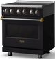 Viking® 5 Series 30" Onyx Pro Style Induction Range with Brushed Brass Trim-3