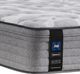 Sealy® Posturepedic® Spring Dantley Innerspring Soft Faux Euro Top Twin Mattress-2