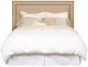 Vanguard® Furniture Customizable Hillary/Hank Queen Headboard-1