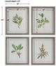 Uttermost® Wildflower Study 4-Piece Framed Print Set-2