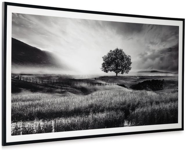 Signature Design by Ashley® Deborland Black/White Wall Art-1