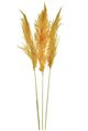 A & B Home Orange Dried Natural Pampas Grass Bundle-0