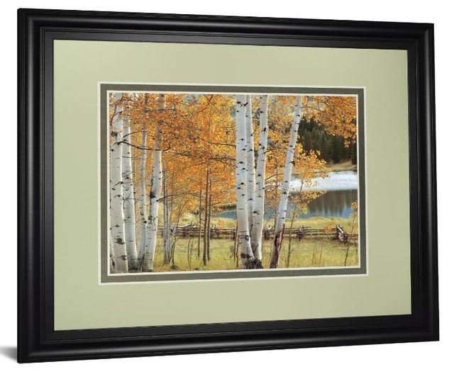 Classy Art Birch Beauty by Mike Jones Wall Art-1