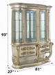 ACME Furniture Danae Champagne/Gold 93" Curio-2