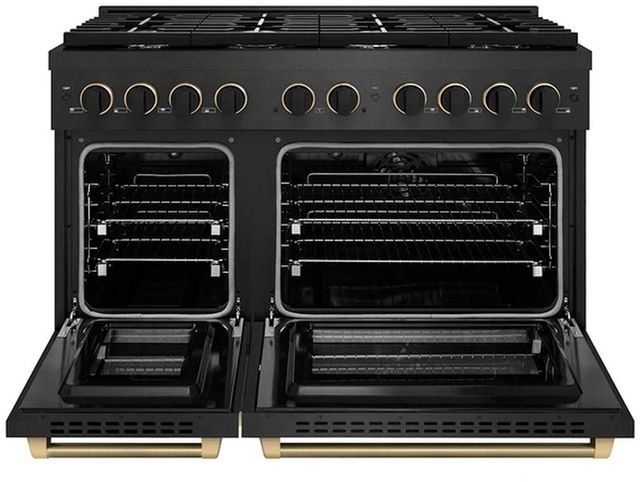 ZLINE Designer Paramount 48" Black Satin Stainless Steel Pro Style Dual Fuel Range with 8 Burner Gas Cooktop-1