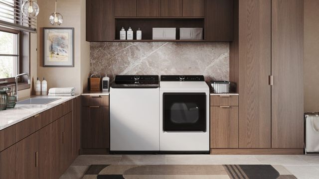 LG Alpine White Front Load Gas Dryer