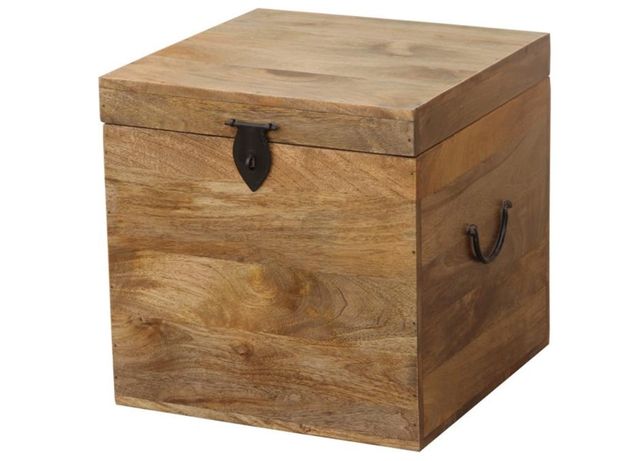 Jaipur Furniture Mcmullen Brown Cube Trunk-1