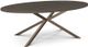 Amisco Customizable Asterisk Oval Table with Metal Stand-0