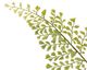 A & B Home Green 46" Wood Fern Bush-2