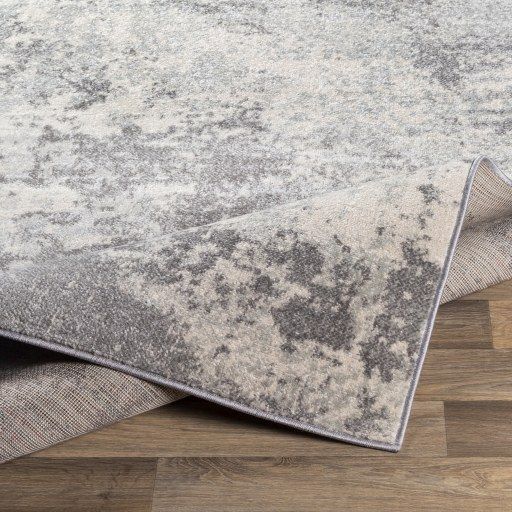 Surya Chester Medium Gray/White 8'x10' Area Rug-4