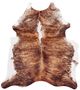 Feizy Bartlett Exotic Light Small Rug-0