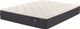 Serta® Serta Classic™ Wrapped Coil Plush Tight Top Twin Mattress-0