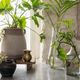 Magnolia Home by Joanna Gaines Gaston Clear 8" Vase-3