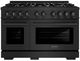 ZLINE 48" Black Stainless Steel Pro Style Dual Fuel Range with 8 Brass Burners-0
