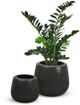 Le Present Belly Anthracite 19" Planter-2