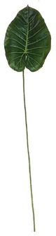 A & B Home Green Taro Leaf Stem-0