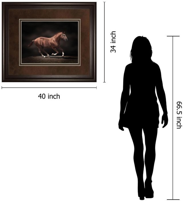 Classy Living Edoma Stallion on Black Wall Art-2