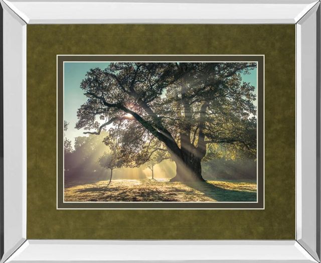 Classy Art Breaking Through by A. Frank Mirror Framed Wall Art-0