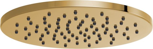 Brizo Essential™ Brilliance® Polished Gold 12" Linear Round Single-Function Raincan Shower Head-0