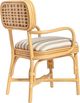 TOV Furniture Dorine Beige/Khaki/Natural Dining Arm Chair-5