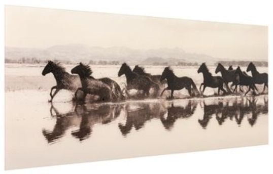YHD Running Wild Print-2