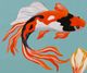 Stylecraft Tamara Day for Stylecraft Colorful Koi V Wall Art-1