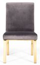 VIG Furniture Modrest 2-Piece Gold/Gray Dining Chair Set-1