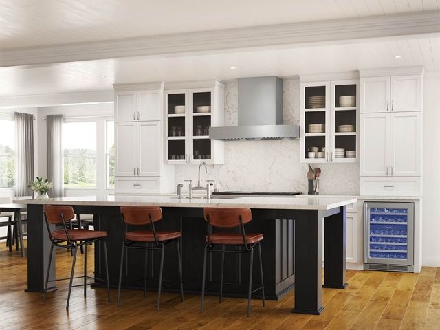 Zephyr Pro Collection Roma Pro 48" Stainless Steel Wall Mounted Range Hood-3