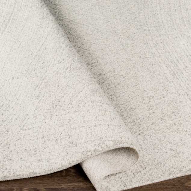 Surya Gavic Cream 4'x6' Area Rug-4