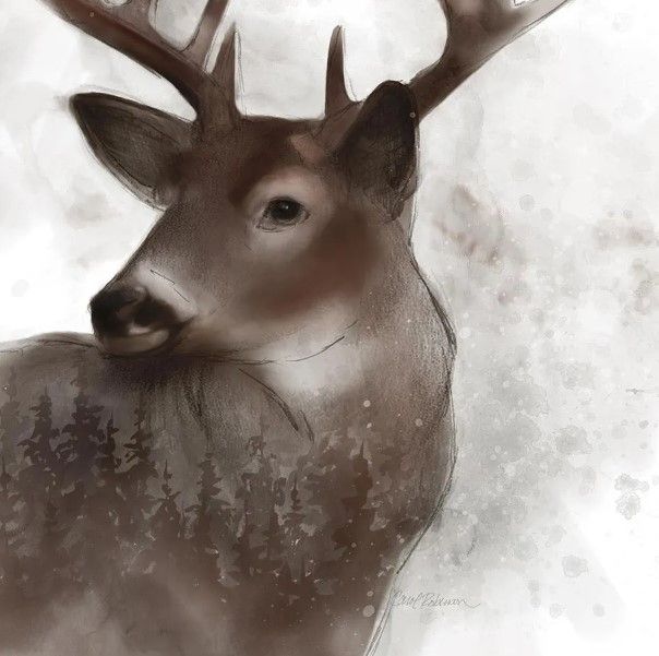Classy Art Forest Deer by Carol Robinson Wall Art-1
