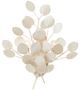 Currey & Company Lunaria Contemporary Silver Leaf Wall Sconce-0