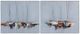 Crestview Collection Oxford Sails 2-Piece Wall Art Set-0