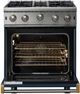 Viking® 5 Series 30" Slate Blue Liquid Propane Pro Style Gas Range-1