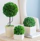 A & B Home Green Medium Faux Boxwood Boxed Topiary-4