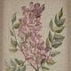 Olliix by Madison Park Linen Botanicals 3 Piece Multicolor Printed Linen Canvas Set-2