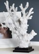 Crestview Collection Natural Coral White Statue-1