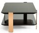 VIG Furniture Modrest Leroy Ebony/Rosegold Coffee Table-2