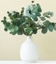 Magnolia Home by Joanna Gaines Green Silver Dollar Eucalyptus Spray-3