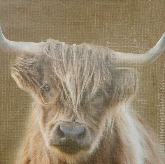 Stylecraft Beige/Brown Wall Art-1