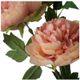 A & B Home Peach Peony-2
