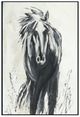 Classic Home Dark Horse Painting by Buddy Whitlock-0