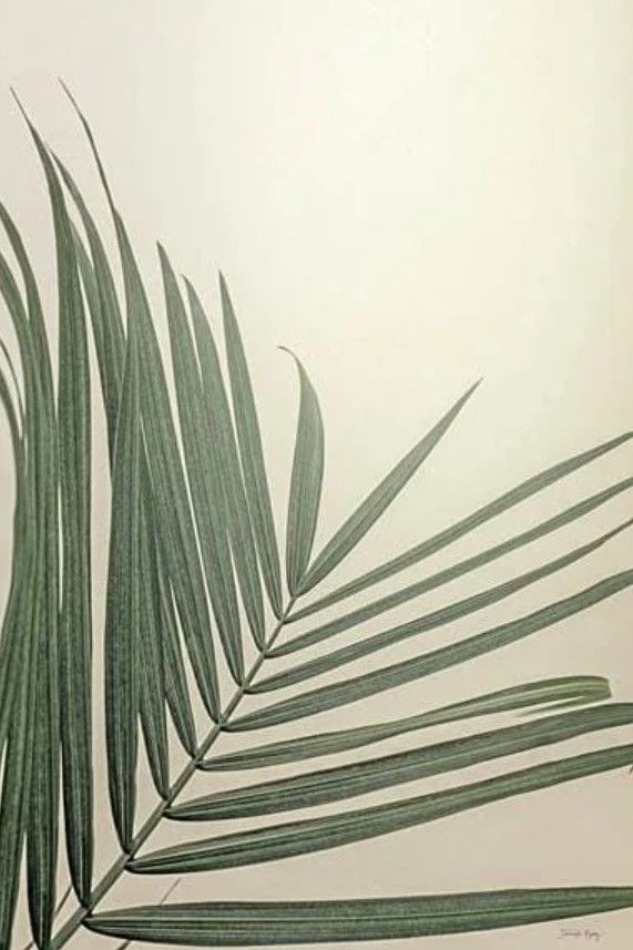 Classy Art Golden Hour Palm by Jennifer Rigsby Wall Art-0